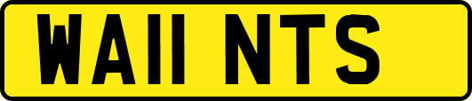 WA11NTS