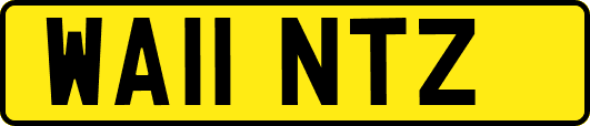 WA11NTZ