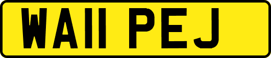 WA11PEJ