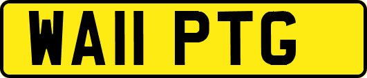 WA11PTG