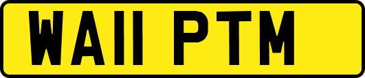 WA11PTM