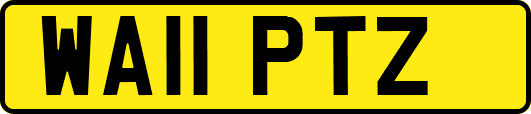 WA11PTZ