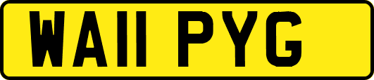WA11PYG