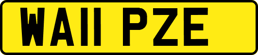 WA11PZE