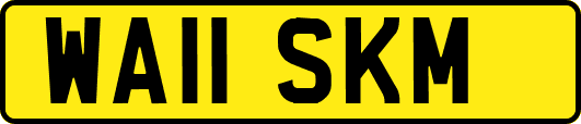 WA11SKM