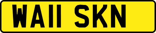 WA11SKN