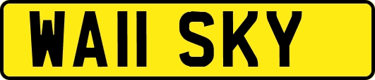 WA11SKY