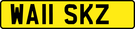 WA11SKZ