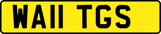 WA11TGS