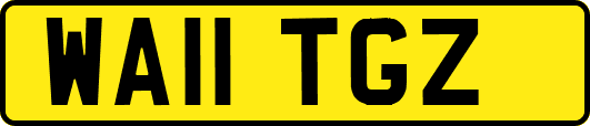 WA11TGZ
