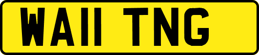 WA11TNG