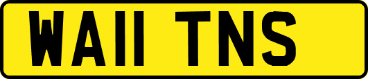 WA11TNS