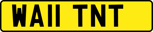 WA11TNT