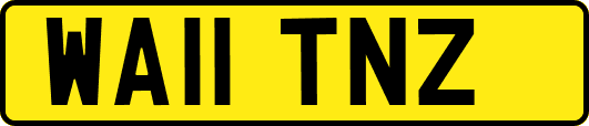 WA11TNZ