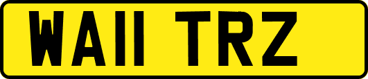 WA11TRZ