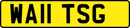 WA11TSG