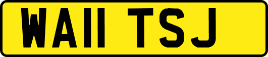 WA11TSJ