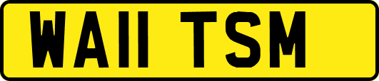 WA11TSM