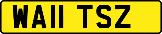 WA11TSZ