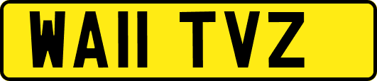 WA11TVZ