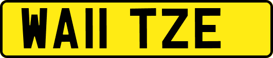 WA11TZE