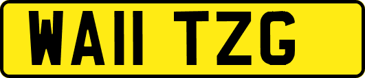 WA11TZG