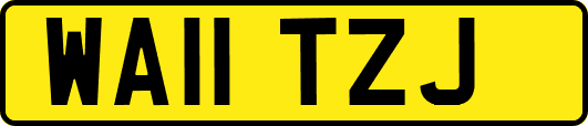 WA11TZJ
