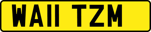 WA11TZM
