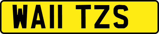 WA11TZS