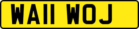 WA11WOJ