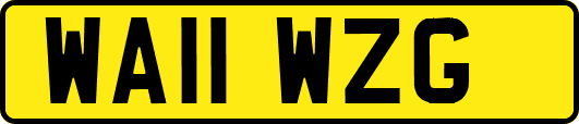 WA11WZG