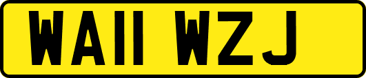 WA11WZJ