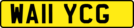 WA11YCG