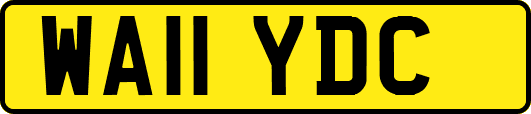 WA11YDC