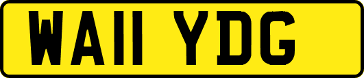 WA11YDG