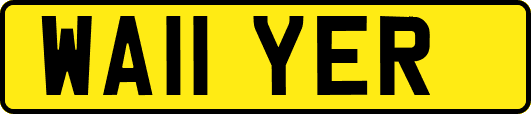 WA11YER