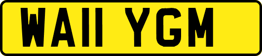 WA11YGM