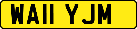 WA11YJM