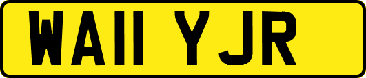 WA11YJR