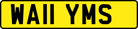 WA11YMS