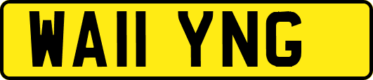 WA11YNG