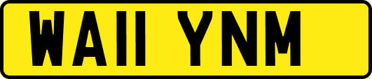 WA11YNM