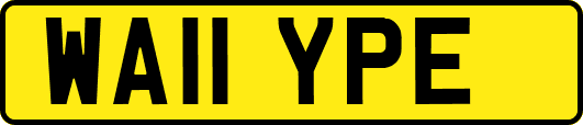 WA11YPE