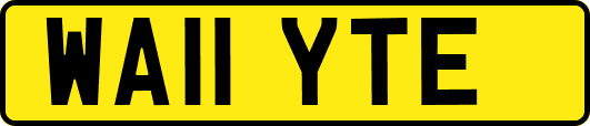 WA11YTE