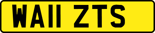 WA11ZTS