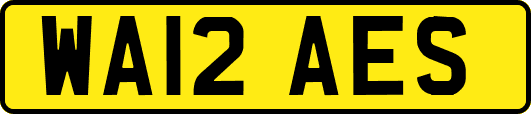 WA12AES