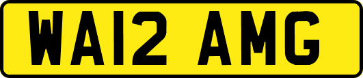 WA12AMG