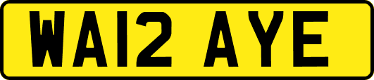 WA12AYE