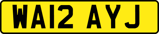 WA12AYJ