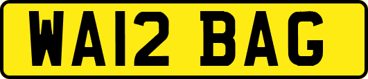 WA12BAG